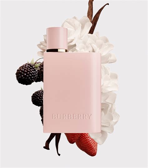 shoppers drug mart burberry|Burberry Her Eau de Parfum for Women .